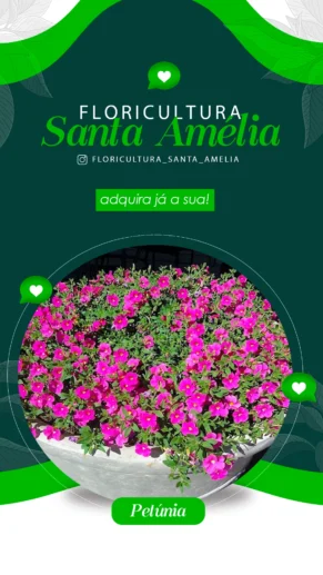 Floricultura Santa Amélia